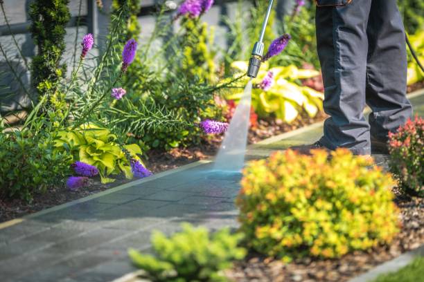 Best Restaurant Pressure Washing  in Indian Hills, TX